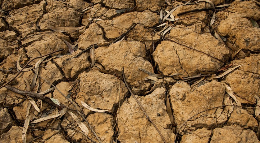 Netherlands is heating up twice as fast as global average: KNMI researcher