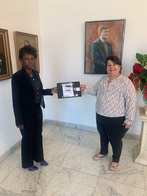 Pamela Gordon-Carty Offers “Recovery Plan” to Acting Governor