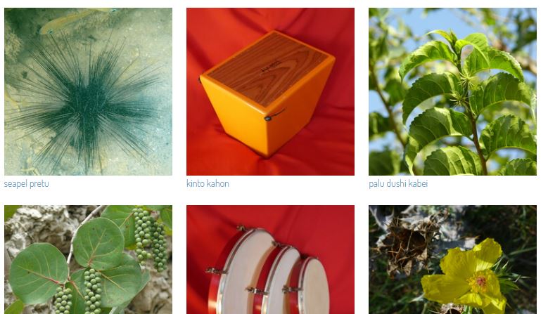 Banko di Palabra expanded with 275 new photos