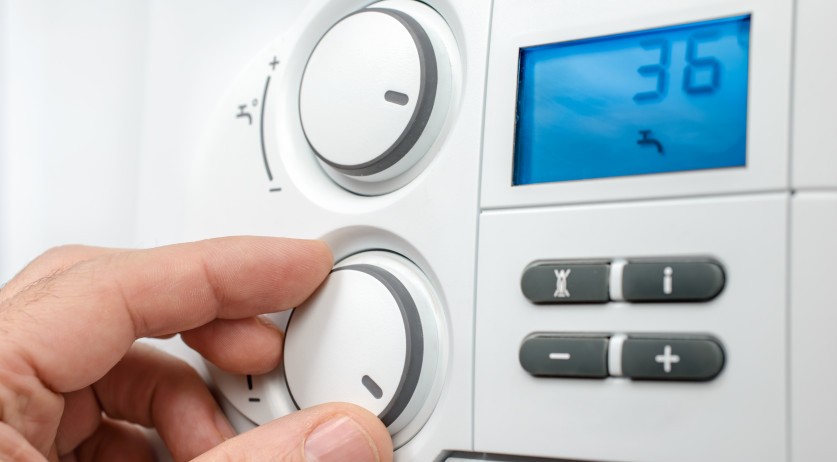 NL: Controversial biomass power plant construction could be replaced with greener option