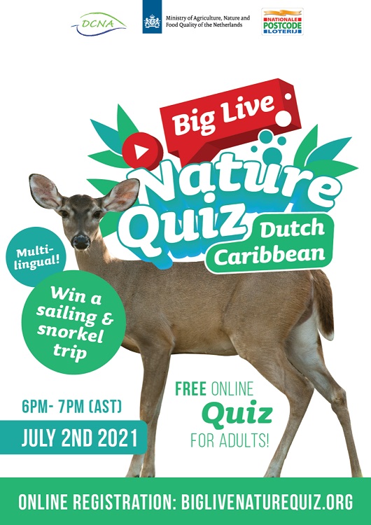 Join DCNA’s Free Big Live Nature Quiz and win a sailing trip