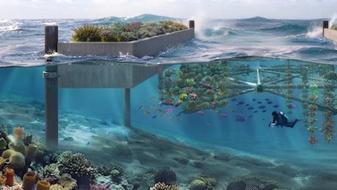 Floating Breakwater Could Help Protect Curaçao Coast, Study Recommends 30-Meter Pilot at Marie Pampoen