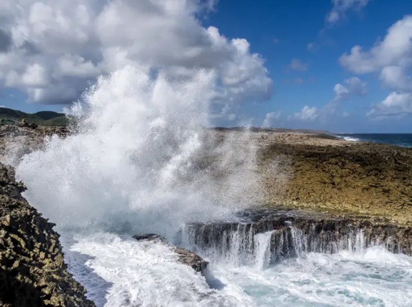 Study in Curaçao Offers New Insights into the Origin of Multicellular Life on Earth