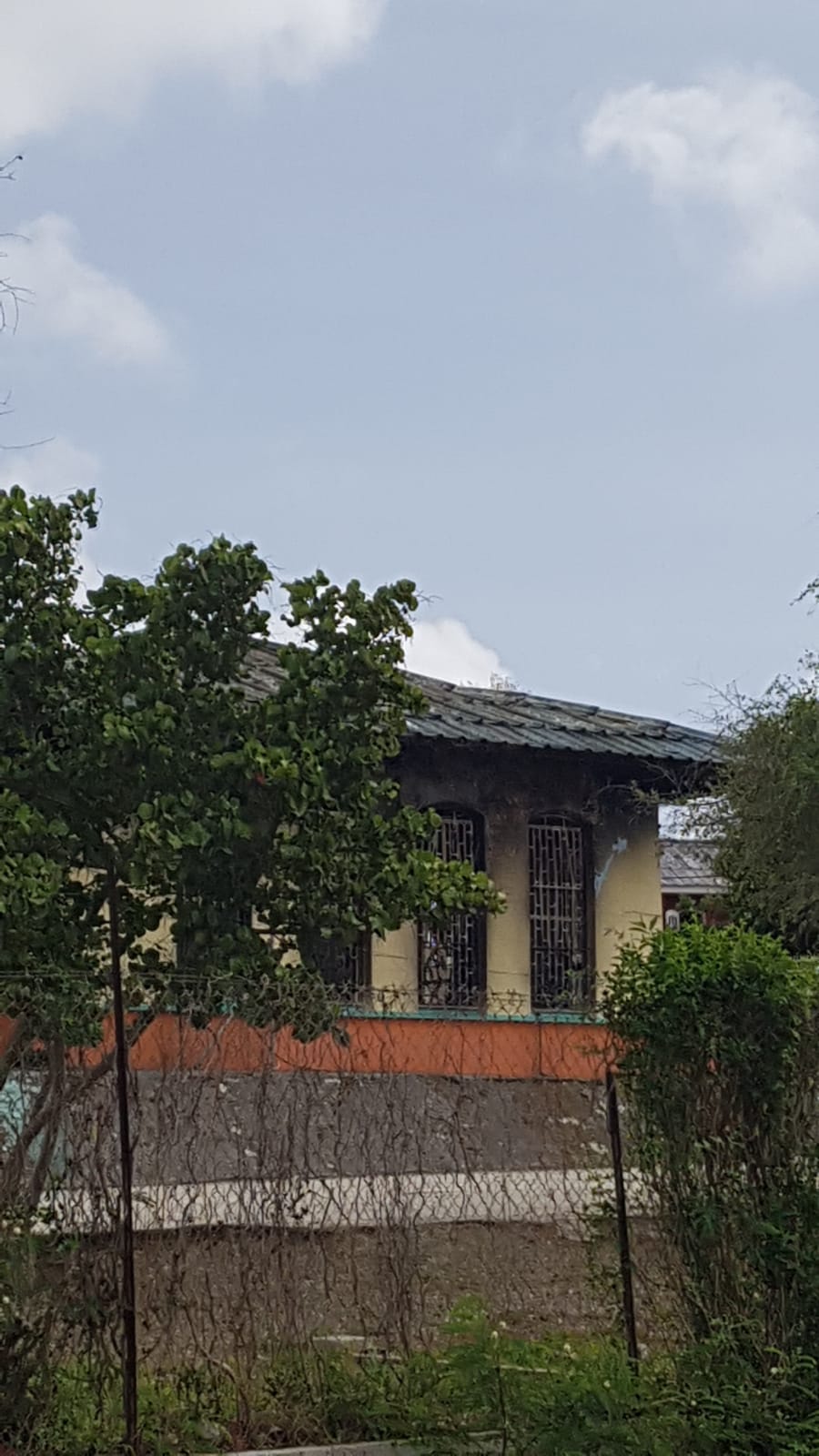 Minister forbids MP’s working visit; Van Heydoorn denies