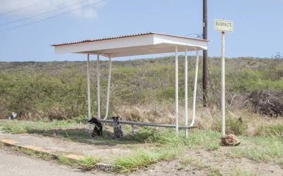 Consumer Foundation Notes Progress in Repair of Bus Stops Across Curaçao