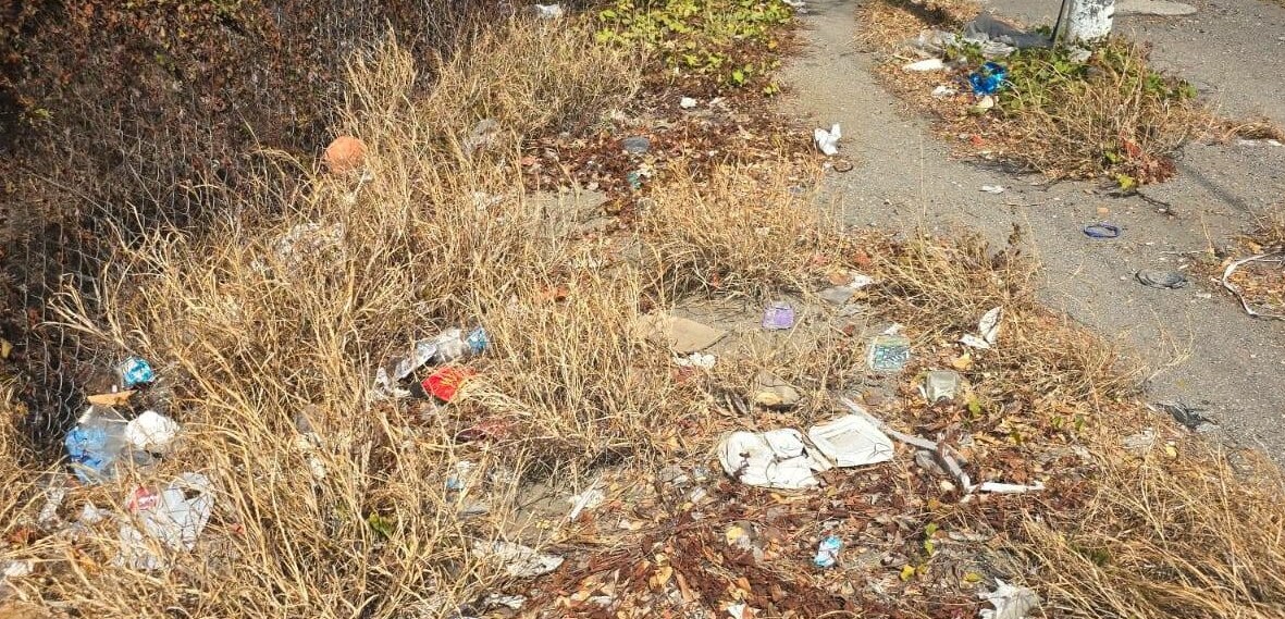 Nearly 300 Kilos of Trash Collected Along Caracasbaaiweg During Cleanup Action