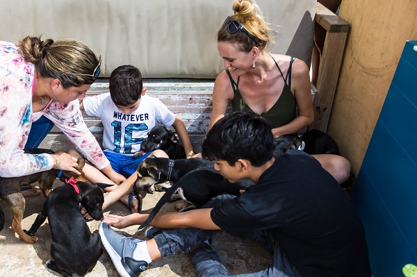 CARF hosts adoption event 'Coffee Cups & Rescue Pups' at Dive City