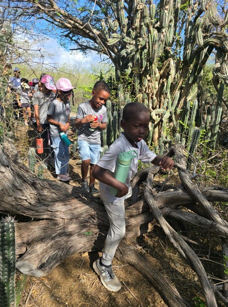 Carmabi Reaches More Than 14,000 Children Through Nature Education Programs