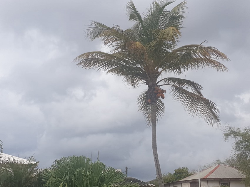 Update: Code orange not yet in effect