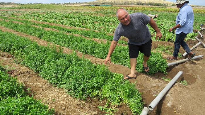 CariFoodFund to Launch With €18 Million to Boost Food Security in the Caribbean