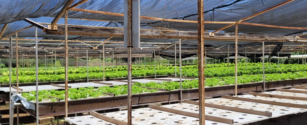 Minister Middelhof Calls for Stronger Cooperation in Agriculture Sector