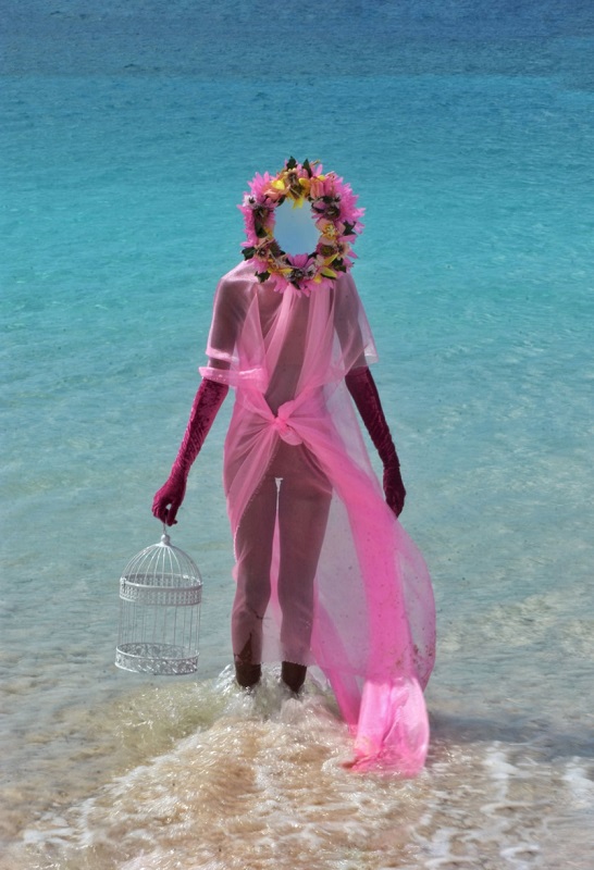 Online professionalization project for the culture sector