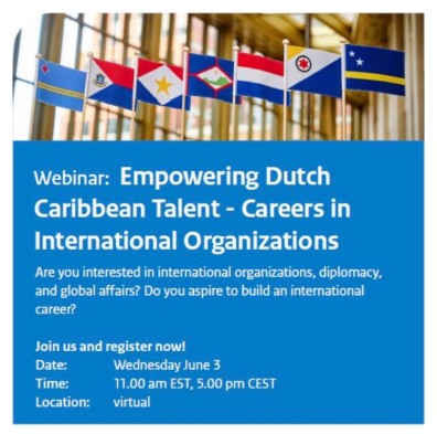 Minister Plenipotentiary in Washington Organizes Virtual Session on International Career Opportunities for Caribbean Professiona