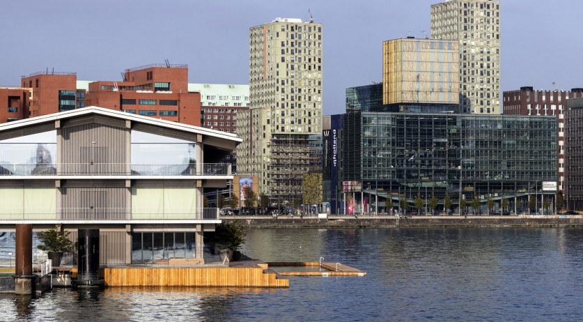 African leaders call for climate change support; Dutch orgs. demand nature restoration