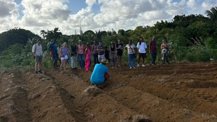 Food Security Expert to Present Vision for Curaçao’s Agricultural Future