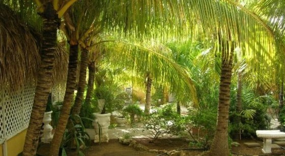 Curaçao to open first recovery center for mental well-being