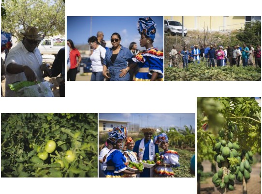 Harvest at SDKK Highlights Rehabilitation and Skills Development