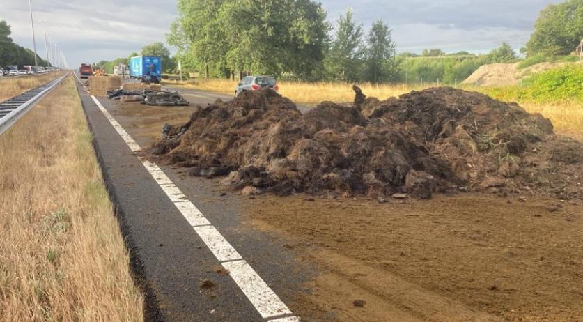 Dutch Farmers must comply with stricter EU fertilizer rules earlier; Some farmers furious