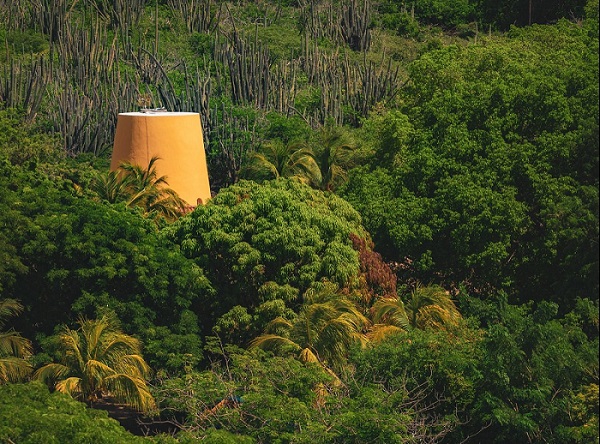 Hòfi Mango temporarily closed