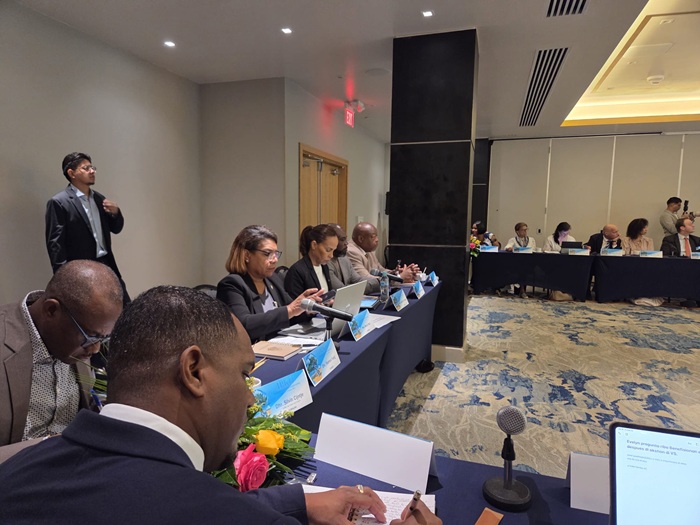 Public Access, Language Rules and Follow-Up Central to IPKO Agreements