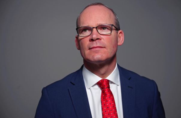 Ireland spending 'hundreds of millions of euros' on no-deal Brexit: minister