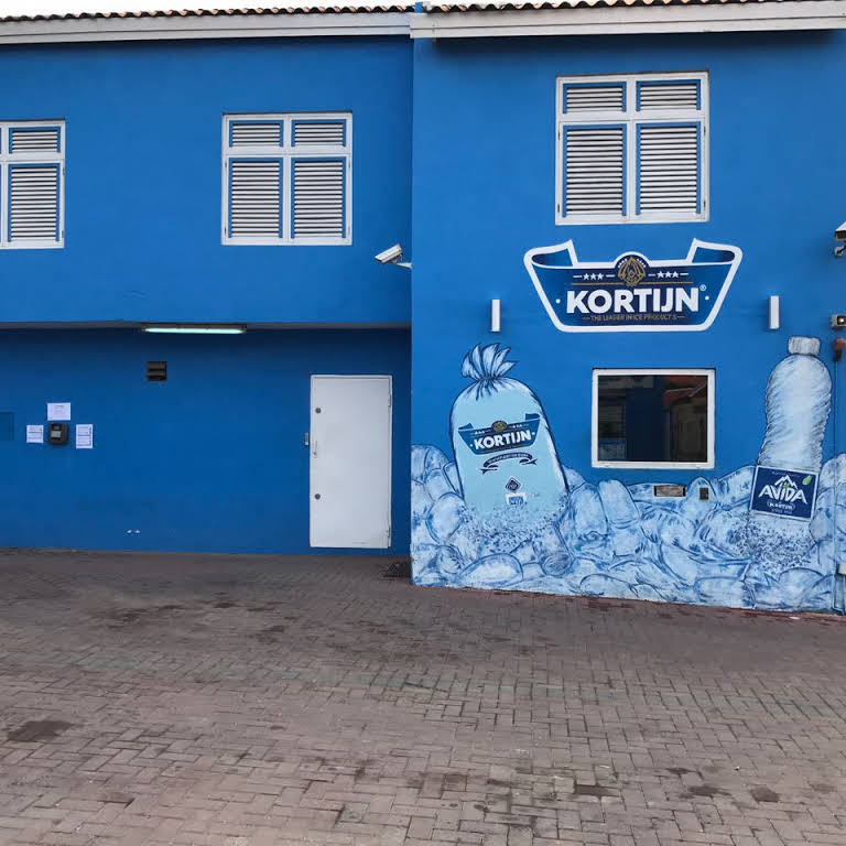 Algae and worms in bottled water