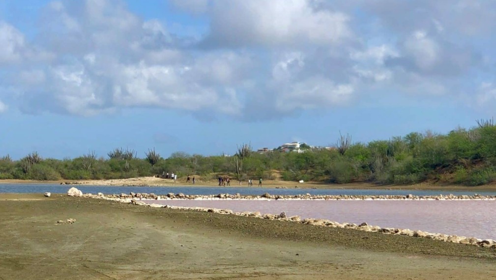 Dutch Lab and ADC Confirm No Oil or Chemical Pollution in Libu Salt Pans