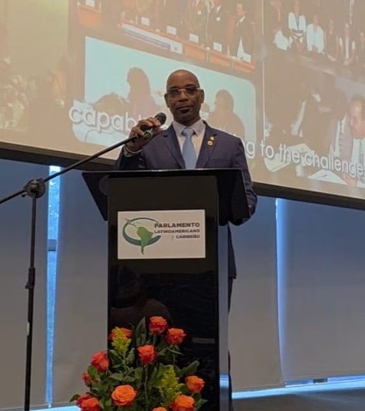 MFK MP Sandy Losiabaar Calls for Greater Curaçao Control Over Government Data