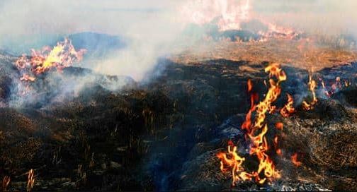 Situation at Malpais Landfill under control