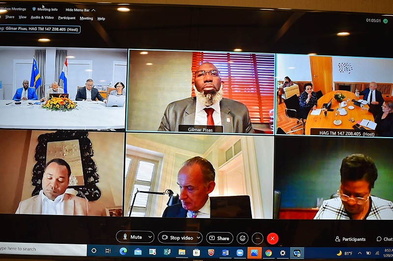 Virtual meeting Pisas and State Secretary Van Huffelen
