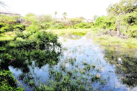 Montaña clean again