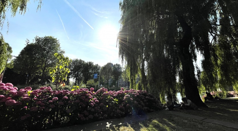 NL: Climate change making hot days even hotter