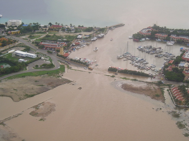 DCNA agrees with scientists: Nature in the Dutch Caribbean is critically threatened and intervention is necessary