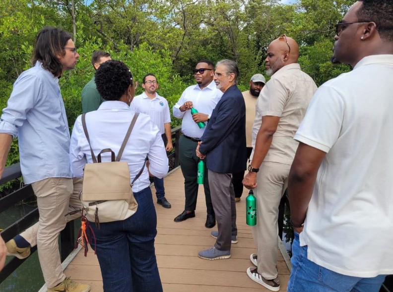 Carmabi Warns Curaçao Must Tackle Land-Based Pollution to Save Coral Reefs