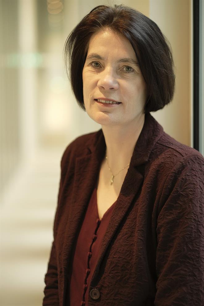 Working visit by the President of the Supreme Court meaningful and effective