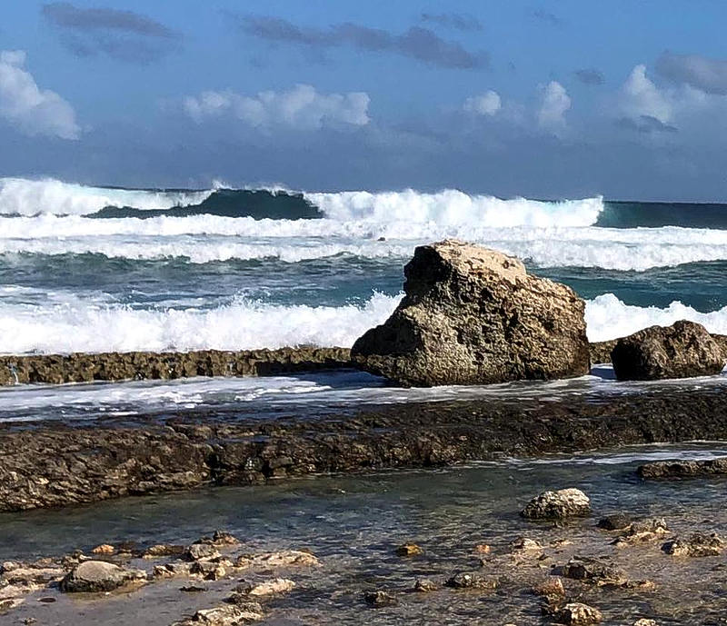 Dog care Playa Canoa must give place for shooting range