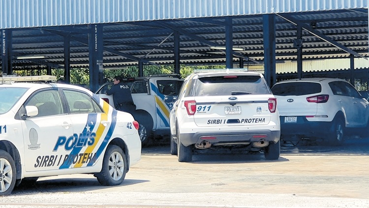 Painters mistaken for thieves