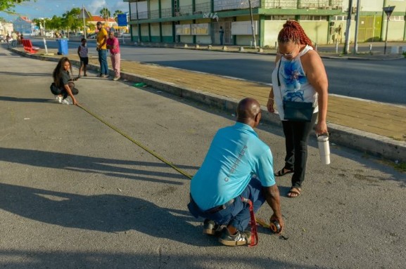 Evaluation of Prekario Carnival 2026 Highlights Compliance Issues and New Opportunities