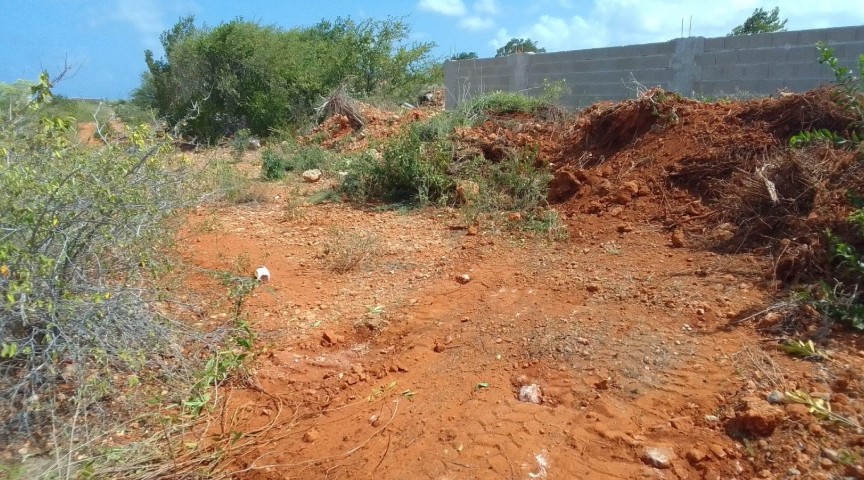 PTH Halts Land Clearing for Construction in Protected Area at Fortuna Ariba