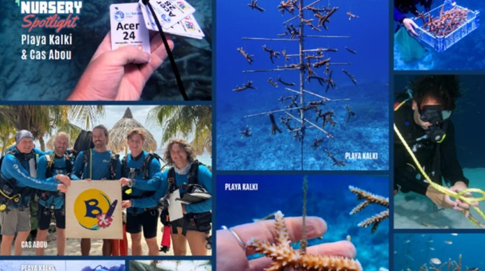 Reef Renewal Curaçao Expands Coral Restoration Efforts, Marks Decade of Impact