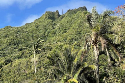 Saba: KNMI volcanologist explains why eruptions do not suddenly happen