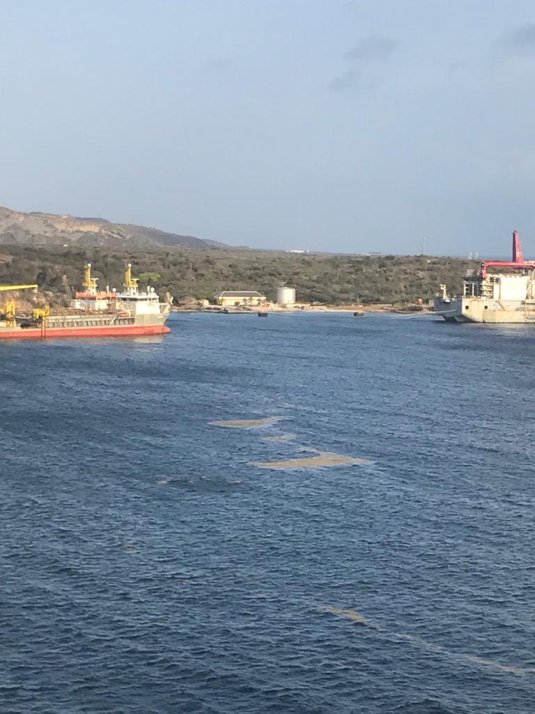 Again problems with sargassum