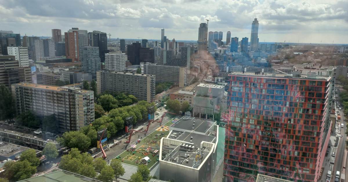 Young professionals in talks with employers in the financial sector on business day in Rotterdam