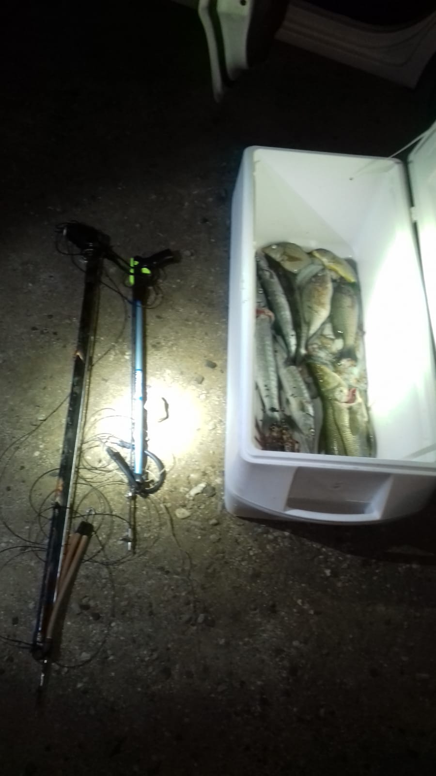 Coastguard caught spear fishermen