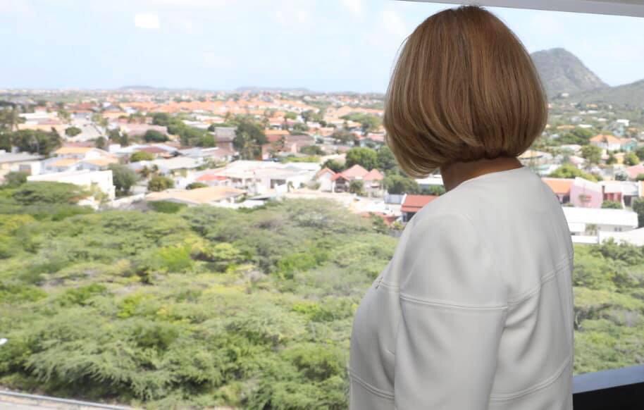 Undersecretary throws curve ball at Aruba